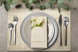 Tischdecke ALINA beige 30x40 x4 KPL