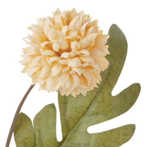 KW NATU 394 orange orange grün