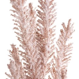 KW NATU 399 NAT NATU