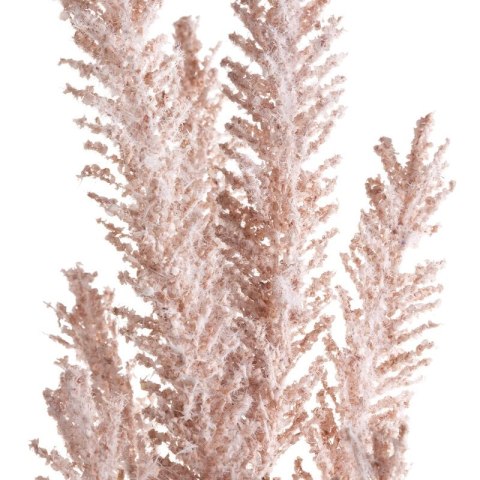 KW NATU 399 NAT NATU