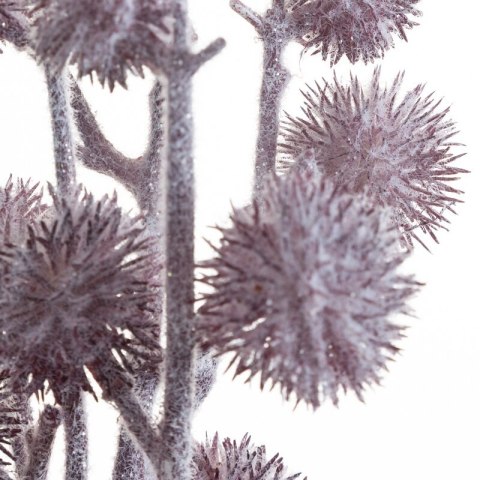 KW NATU 403 lila lila