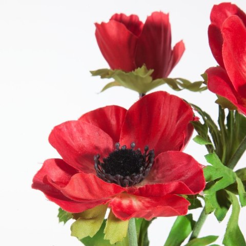 KW NATU 392 rot rot grün