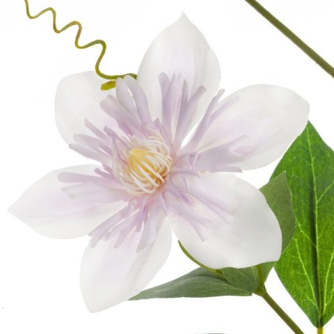 KW NATU 393 weiß weiß helllila