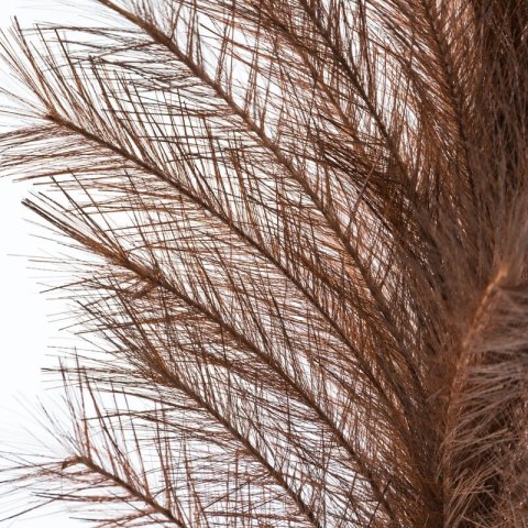 KW FLORE 672 braun 110x20 BR