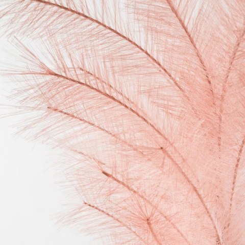 KW FLORE 672 rosa 110x20 rosa