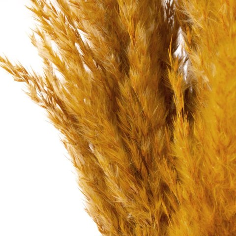 KW NAT 43406-548 73 BUKIET