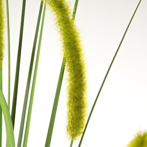 KW NATU 359 grün grün