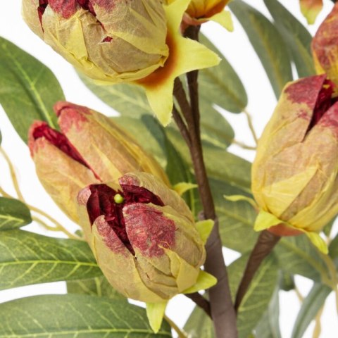 KW NATU 328 CZE rot gelb