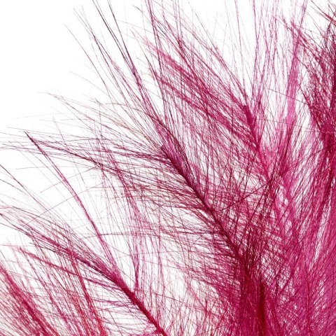 KW WIANEK 1 BOR BORD lila