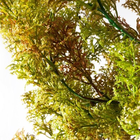 KW NATU 276 Z braun grün BR