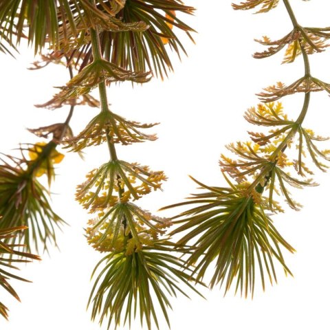 KW NATU 277 hellZ hellgrün