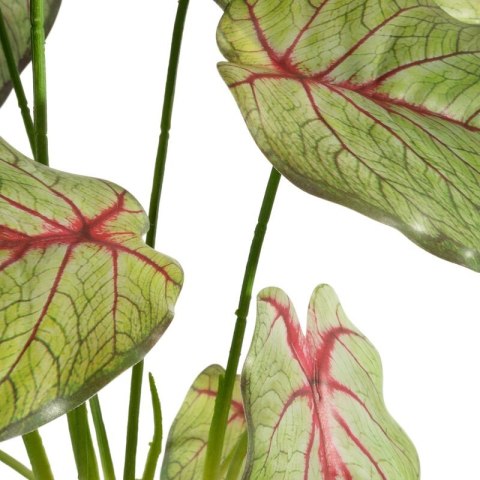 KW NATU 287 Z R grün rosaO