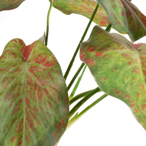 KW NATU 287 grün grün