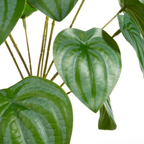 KW NATU 289 grün grün