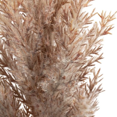 KW NATU 304 weiß weiß beige braun