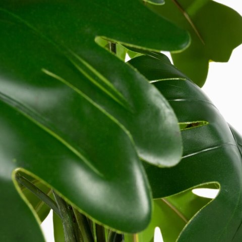 KW NATU 306 grün grün