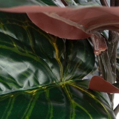 KW NATU 314 grün grün BR