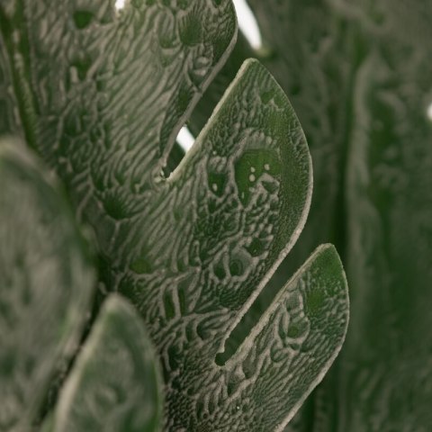 KW LIŚĆ 41 dunkelgrün dunkelgrün (x6)