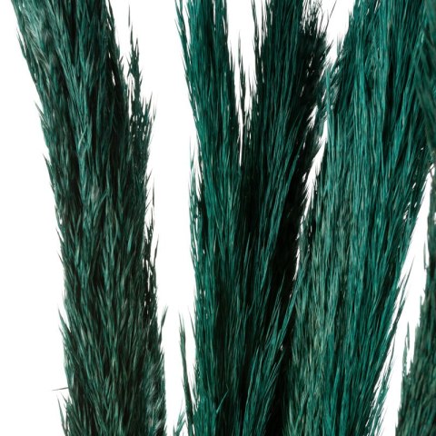 KW NATURA 02 MOR MOR 10(x4) BUKIET