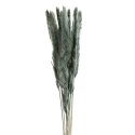 KW NATURA 10 minze minze 10(x4) BUKIET