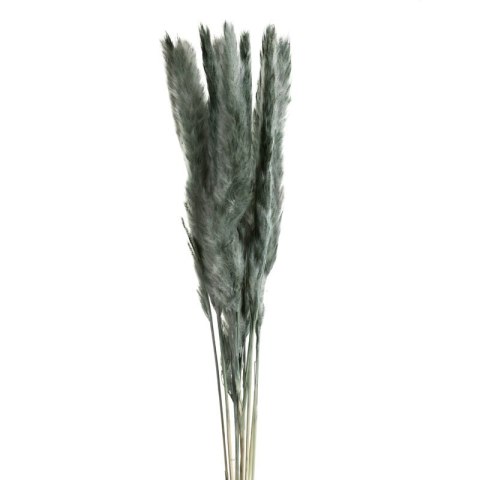 KW NATURA 10 minze minze 10(x4) BUKIET