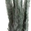 KW NATURA 10 minze minze 10(x4) BUKIET