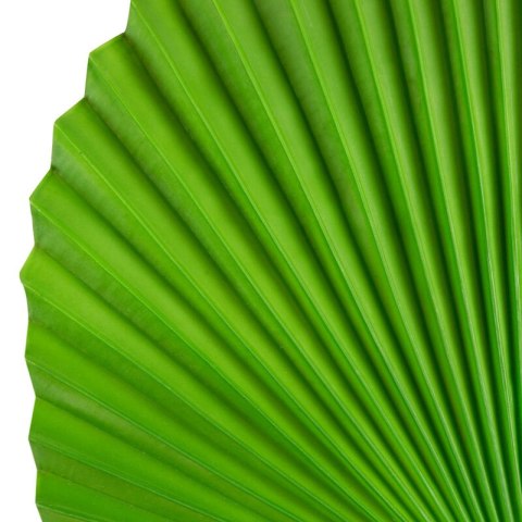 KW LIŚĆ 33 grün grün (x6)