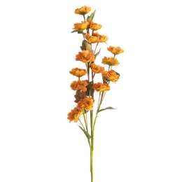 KW FLORE 790 orange orange grün