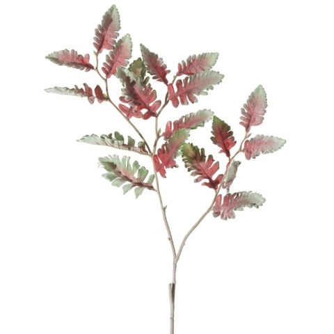 KW NATU 133 Z R grün rosaO