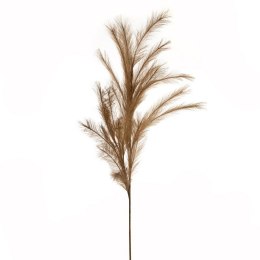 KW NATU 459 braun braun