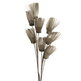 KW NATU 462 POP POPI