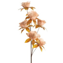 KW NATU 463 rosaO rosaO grün