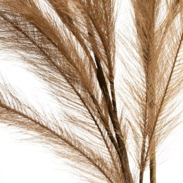 KW NATU 459 braun braun