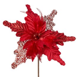 SW KW 225 30x30 CZER