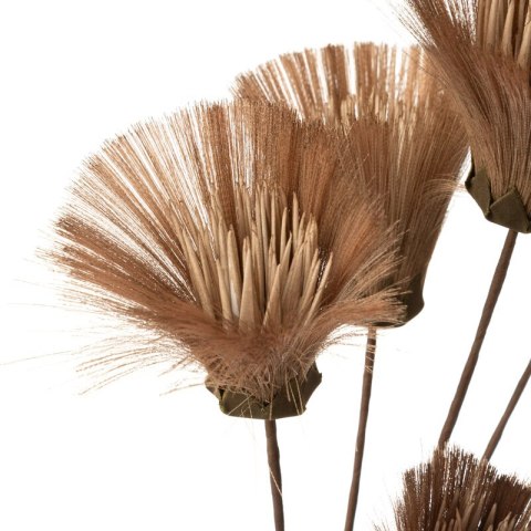 KW NATU 461 braun braun