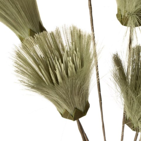 KW NATU 461 grün grün