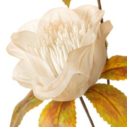 KW NATU 463 creme K grün