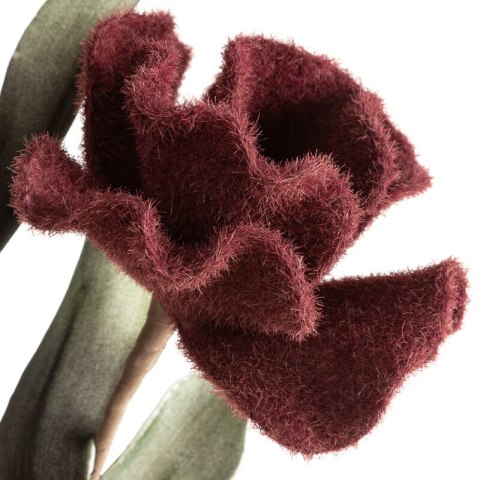 KW FLORE 780 BOR BORD