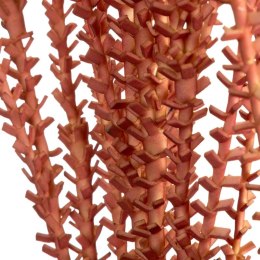 KW FLORE 786 CEG CEG