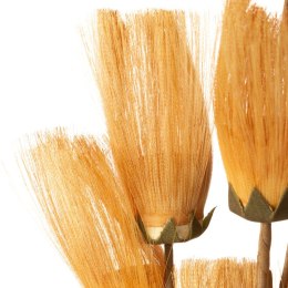 KW NATU 462 orange POMA