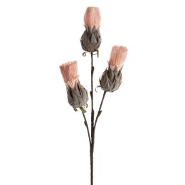 KW FLORE 782 rosa rosaO POPI