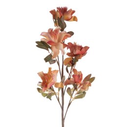 KW FLORE 784 orange POMA