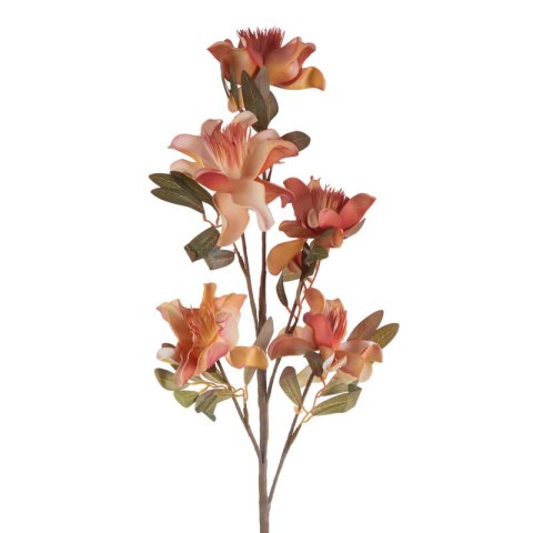 KW FLORE 784 orange POMA