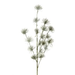 KW NATU 141 grün grün