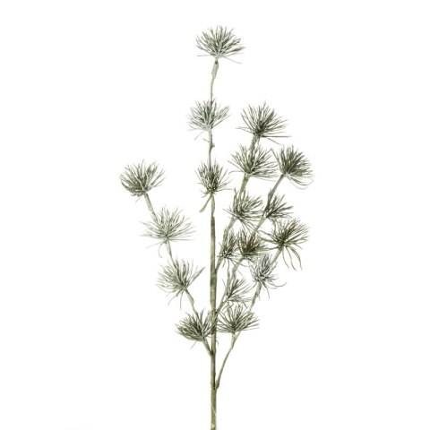 KW NATU 141 grün grün