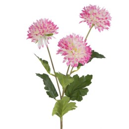 KW NATU 431 AMAR AMAR K