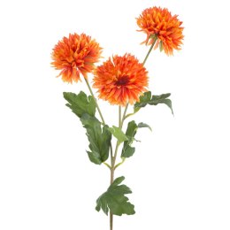 KW NATU 431 orange POMA