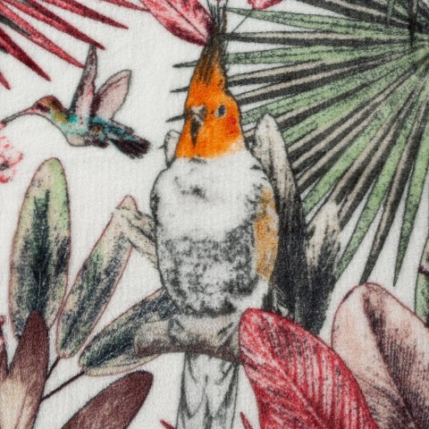 Kuscheldecke PARROT 150x200 grün rosa