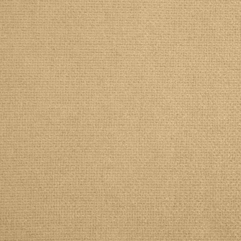 Vorhang ADA beige 140x250 Ösen