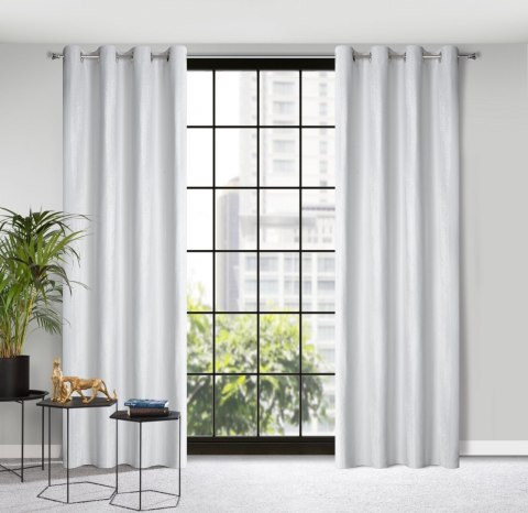 Vorhang AGGIE hellsilber 140x250 Ösen